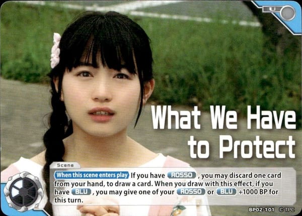 What We Have to Protect BP02-101