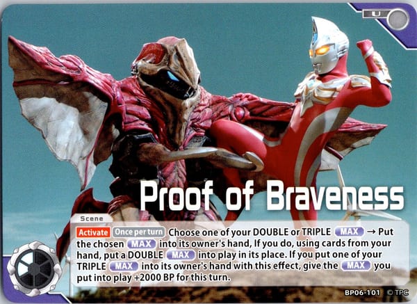 Proof of Braveness BP06-101